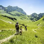 Ours Blanc Ors Nature & Quiet 6 Pers Chalet *