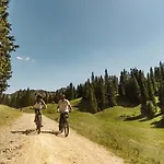 Ours Blanc Ors Nature & Quiet 6 Pers Châtel