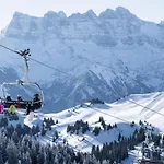 Ours Blanc Ors Nature & Quiet 6 Pers * Châtel